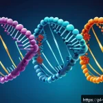 Home 18 장수와 관련된 유전적 다양성 연구 - A detailed scientific illustration of human DNA strands with highlighted gene segments involved in l...